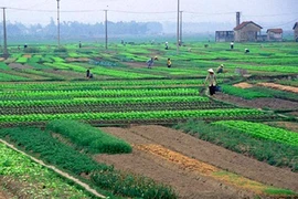 Nghị định mới quy định về giá đất