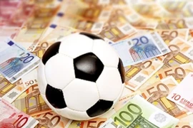 Bình Định: Bắt một ổ cá động bóng đá World Cup
