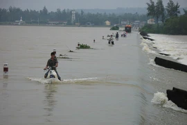 Lũ lên trên sông Cửu Long