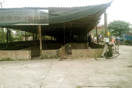 Dân hoang mang vì bị hàng chục “đầu gấu” đe dọa