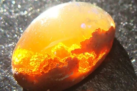 Chiêm ngưỡng vẻ đẹp kỳ lạ hiếm có của những viên đá quý