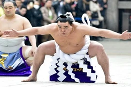 Cuộc 'hành xác' suốt đời của giới võ sĩ sumo