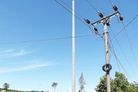 Vụ thi công trước, đấu thầu sau: Chưa kết luận đã cho triển khai 