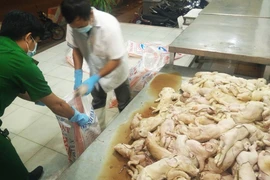 Gần 180 con heo sữa thối suýt vào nhà hàng