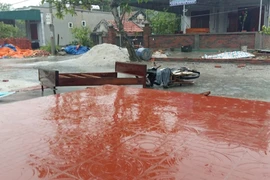 Quảng Ninh: Lốc xoáy bất ngờ tại đảo Minh Châu