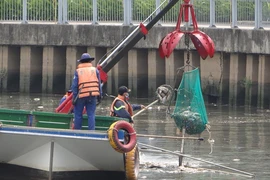 Bất ngờ với lượng cá chết hơn 70 tấn ở kênh Nhiêu Lộc - Thị Nghè