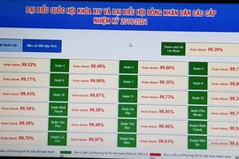 TP.HCM: Tỷ lệ cử tri đi bỏ phiếu đạt 99,36%