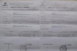 Hủy án vụ nguyên đội trưởng QLTT ‘giải cứu' phân dỏm 