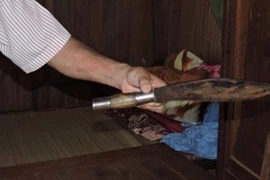 Phá rừng còn dùng dao chém kiểm lâm để tẩu thoát