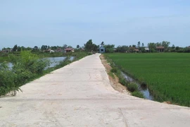 Tham tiền, trưởng và phó thôn nắm tay nhau 'về vườn'
