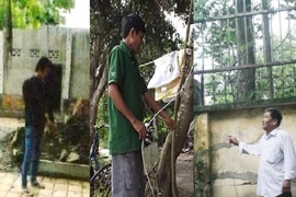 3 vụ đi tù vì bắt trộm 'kinh điển' 
