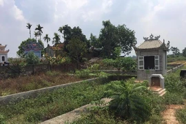 Nguyên các cán bộ thôn Đạo Ngạn kháng cáo án tù