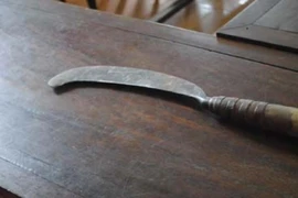 Lấy rựa chém cha vợ vì cho là… ồn ào