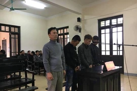 Gắn súng bắn điện vào xe, nhóm cẩu tặc bắt 20 con chó