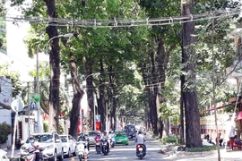 TP.HCM: Đường vắng hoe những ngày cận Tết