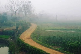Tết của người dân tộc Tày ở Thái Nguyên