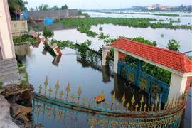 Phát sinh 3 điểm sạt lở ở Nhà Bè, Bình Chánh, Hóc Môn