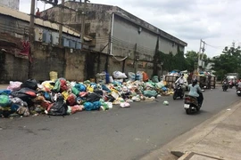 7 lưu ý trước khi bỏ rác để không bị phạt
