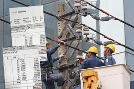 Kiến nghị xử lý cá nhân xuyên tạc về tăng giá điện