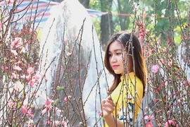 Sở GTVT TP.HCM kiểm tra các chợ hoa tết 2020
