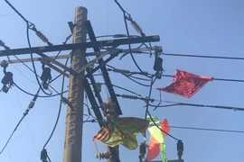Lý do không ngờ gây mất điện trên diện rộng 