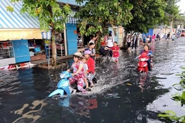 Chỉ đạo khẩn về đảm bảo an toàn điện tại khu vực ngập úng 