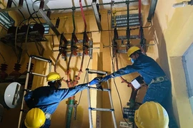 EVNHCMC: Nhiều chương trình tri ân khách hàng