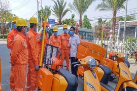 EVNHCMC triển khai công tác đầu xuân 2021