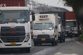 Giải pháp giảm ùn tắc ở khu vực cảng Cát Lái, Trường Thọ