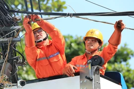EVNHCMC tăng cường kiểm tra, rà soát các công trình điện trong mùa mưa bão
