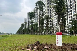 Hoàn thành cắm mốc vành đai 3 TP.HCM, công việc tiếp theo cần làm gì?