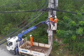Điện lực TP.HCM: Tạm ngưng thi công các công trình đào đường trong dịp lễ