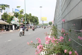 Hàng loạt dạ cầu ở TP.HCM có diện mạo mới