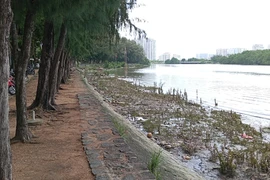 Bình Chánh đề xuất mở phố đêm Trung Sơn