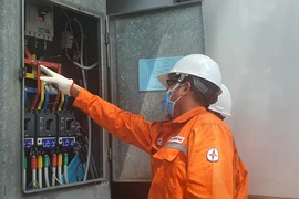 EVNHCMC đảm bảo cung cấp điện suốt dịp Tết Nguyên đán 