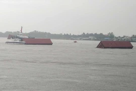 Thùng container bị rơi trên sông Soài Rạp, TP.HCM