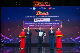 Điện lực miền Nam đạt Giải thưởng chuyển đổi số Việt Nam năm 2024