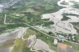 EVNGENCO3: Đảm bảo an toàn bão lũ tại khu vực miền Trung - Tây Nguyên