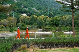 Ngành điện miền Nam sẵn sàng đảm bảo cấp điện Tết Bính Ngọ 2026