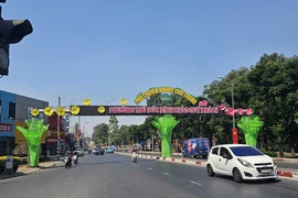Phường Thủ Đức chỉnh trang đường phố, công viên đón Tết