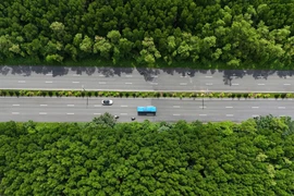 Cần thống nhất quy chuẩn áp dụng cho tuyến đường sắt Bến Thành - Cần Giờ