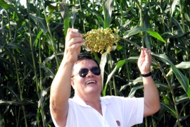 Đại gia Việt mua ngân hàng, hãng ô tô của Mỹ là ai?