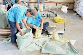 Cấp gạo hỗ trợ cứu đói cho 7 địa phương dịp Tết