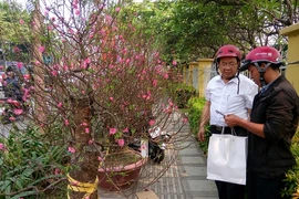 Một mùa Tết buồn với nhiều người bán hoa