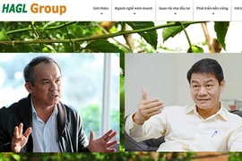 Bầu Đức trồng thêm gần 6000ha chuối, ớt sau khi Thaco bơm tiền