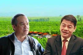 Đại gia ô tô Thaco tìm 'tướng' kinh doanh trái cây cho bầu Đức