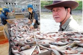 Vua cá Hùng Vương nói gì về việc thoát phá sản công ty?