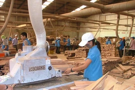 ‘Stop’ nhập gỗ dán vào Việt Nam để tránh bị Mỹ trừng phạt