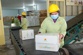 Kinh tế Việt Nam thể hiện sức chống chịu tốt nhưng còn nhiều thách thức