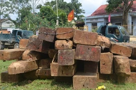 Tòa cho hưởng án treo khi không đủ điều kiện